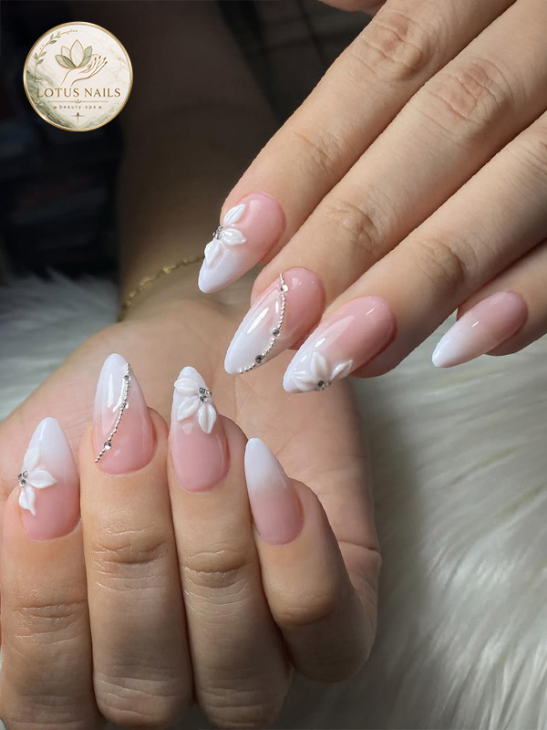 Lotus Nails and Beauty Spa 